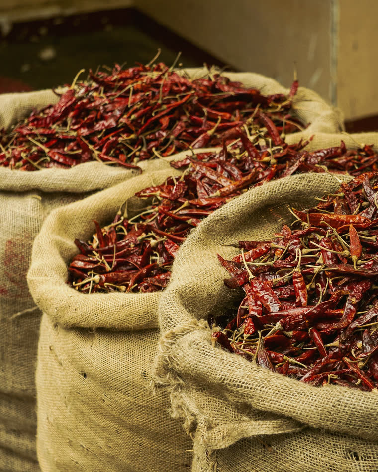 Dried red chillies in open jute sacks.